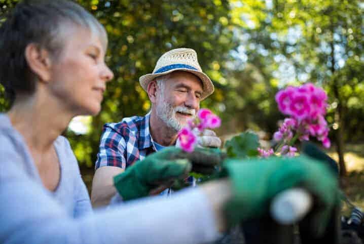Tudo sobre jardinagem: conheça 7 mitos e verdades